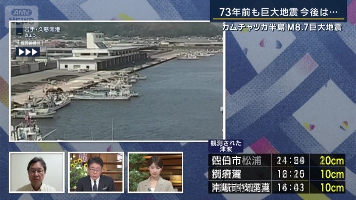 京都大学防災研究所　西村卓也教授