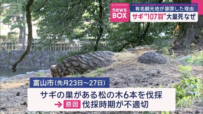 伐採時期が不適切だったことが大量死の原因