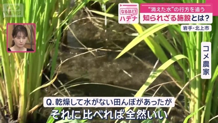 ダムに近い上流では水が流れている