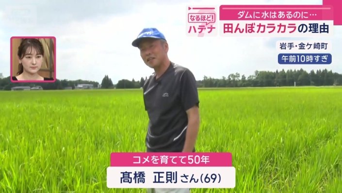 毎年「ひとめぼれ」を育てている