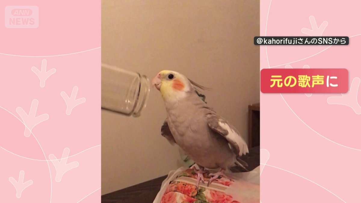 外すと元の歌声に