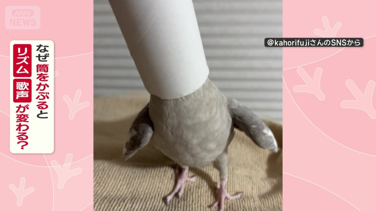 なぜ筒をかぶると歌声が変わる?