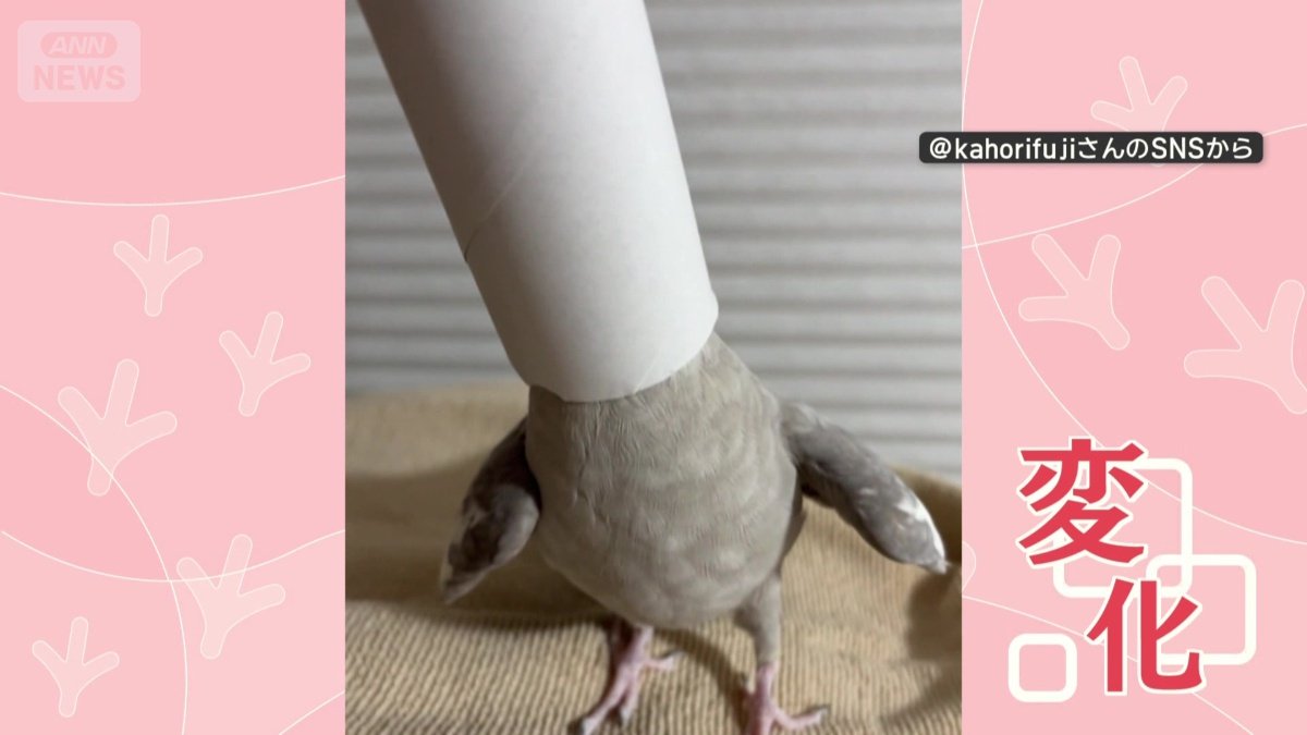 リズムも歌声も変化!