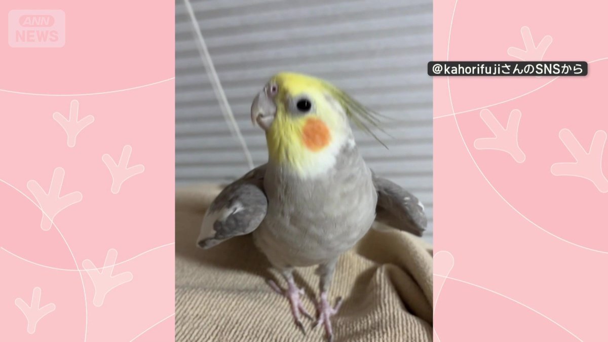ご機嫌で歌う