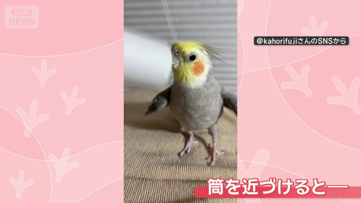筒を近づけると…