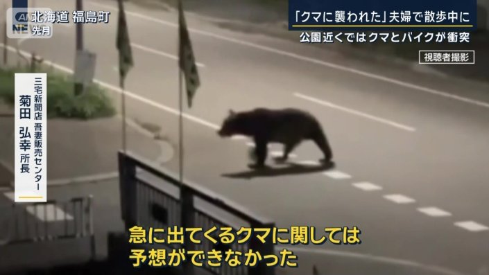 クマ