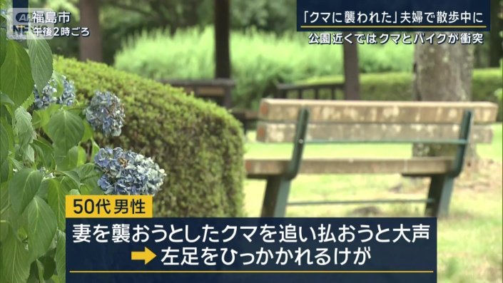 公園
