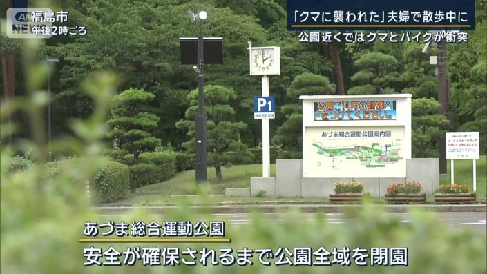 園