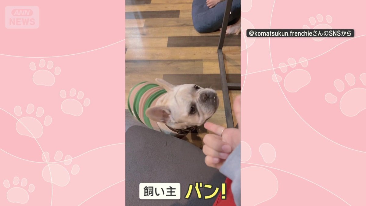 別の日も