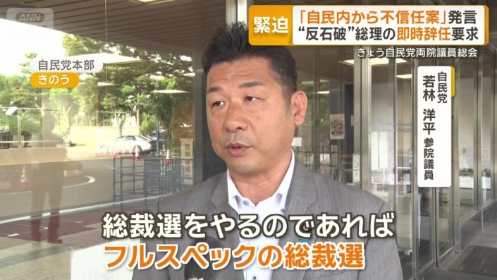 自民党　若林洋平参院議員