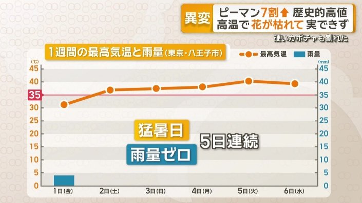 5日連続で猛暑日
