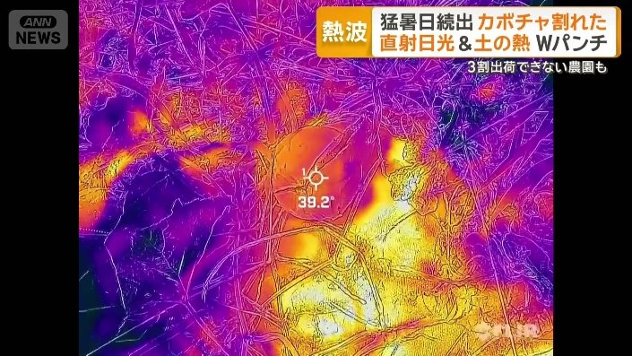 表面は39℃まで上昇