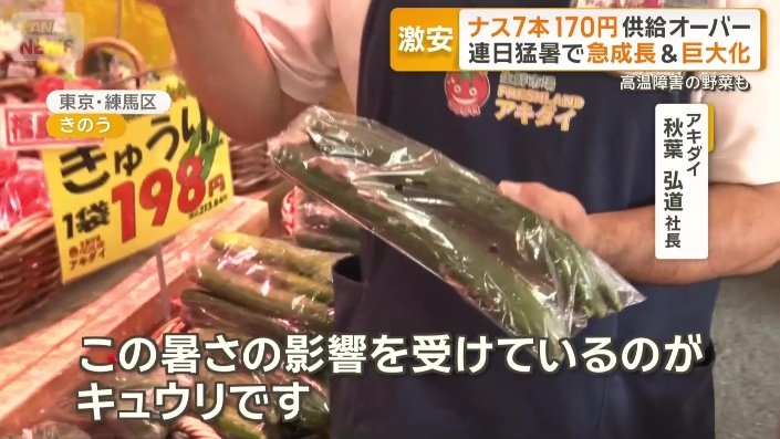 暑さでキュウリに影響が