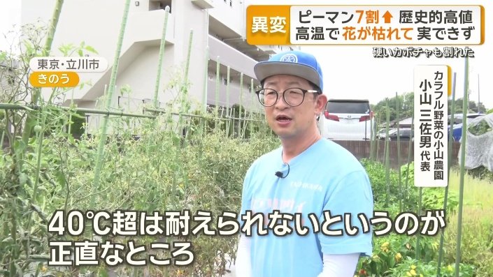カラフル野菜の小山農園 小山三佐男代表