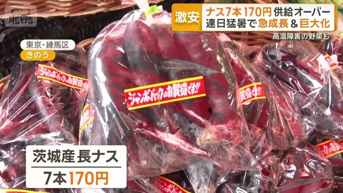 長ナス 7本170円