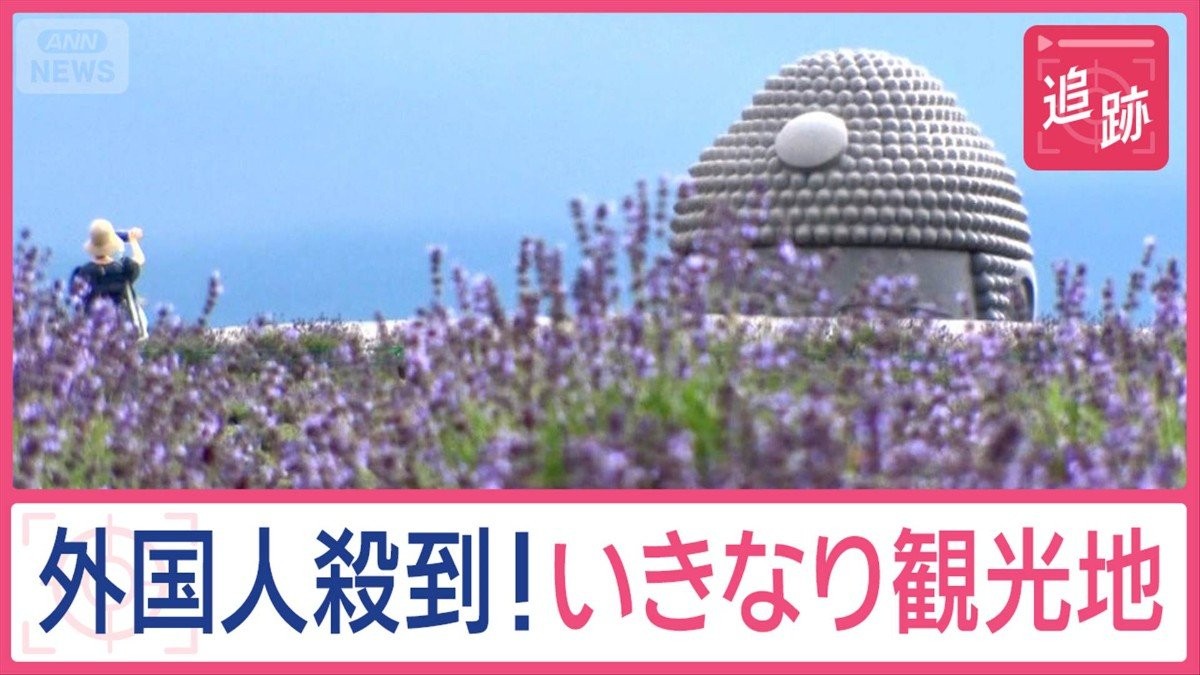 外国人が殺到！いきなり観光地　「頭大仏」に恐ろしい階段？タワマンにある駄菓子屋も