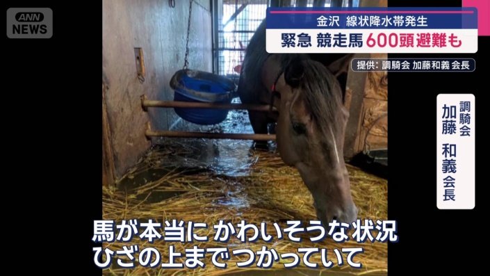 競走馬を周辺の牧場に避難させている