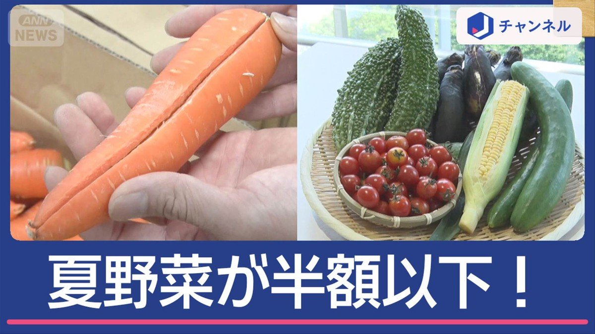 猛暑が財布に優しい？ 夏野菜が半額…激安の理由