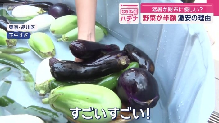 猛暑が財布に優しい？ 夏野菜が半額…激安の理由