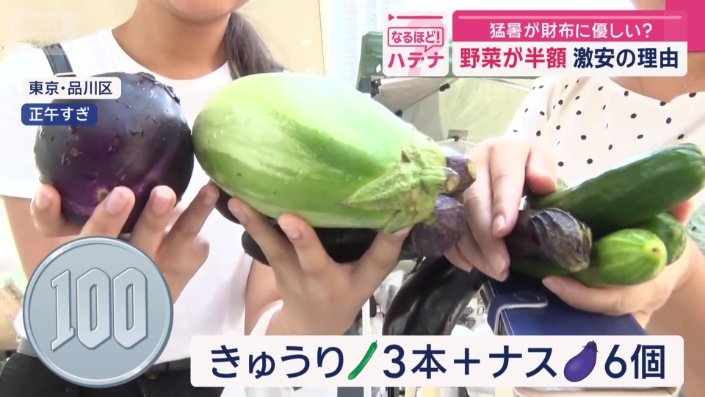 猛暑が財布に優しい？ 夏野菜が半額…激安の理由