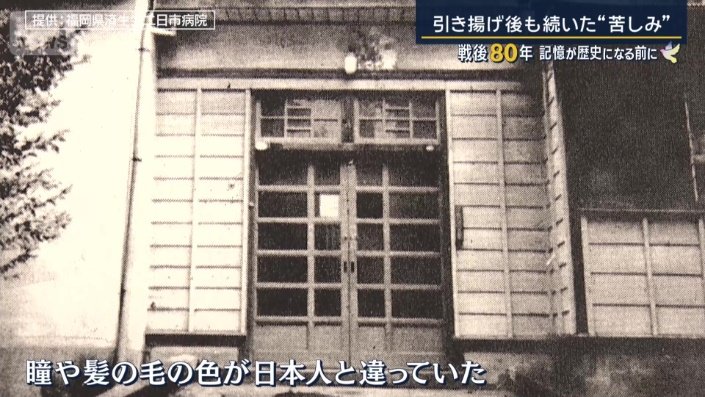 取り出された胎児