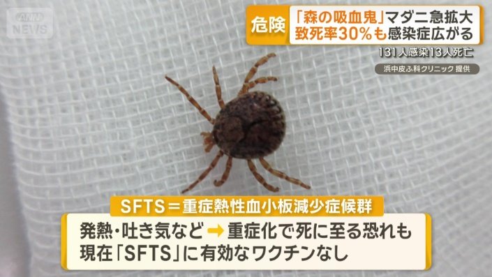 SFTS（重症熱性血小板減少症候群）
