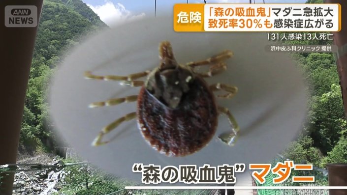 “森の吸血鬼”マダニ