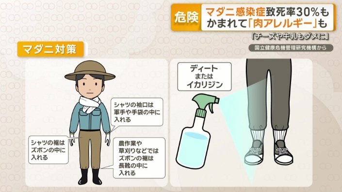 マダニにかまれるのを防ぐために