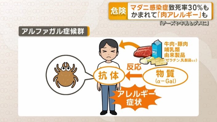 通称“アルファガル症候群”