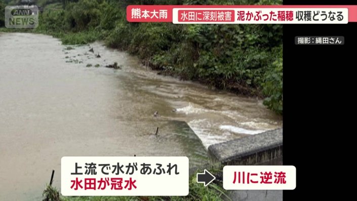 上流で水があふれ水田が冠水し川に逆流している