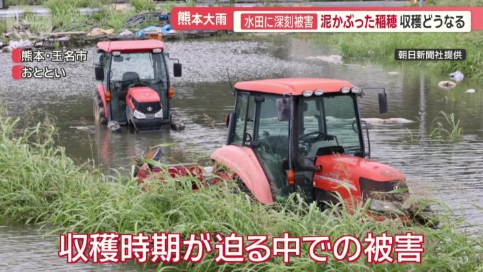 収穫の時期が迫っていたなかでの冠水被害
