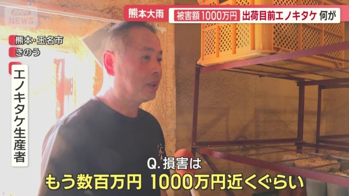 エノキタケ生産者