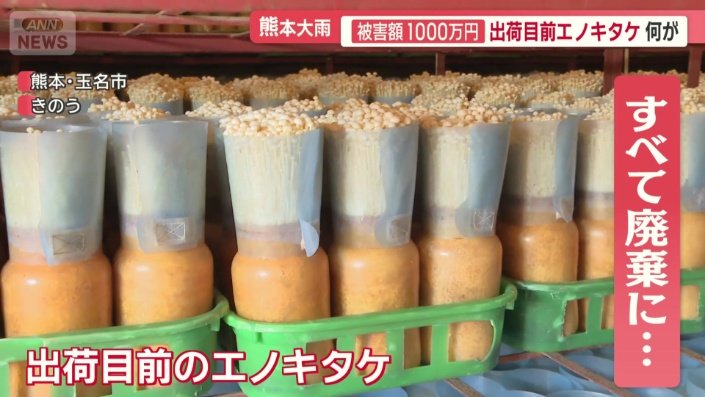 出荷目前のエノキタケがすべて廃棄になった