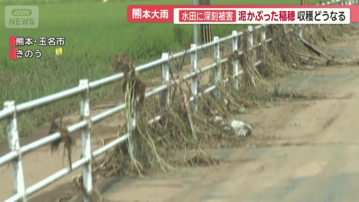泥で汚れた稲などがガードレールに巻き付いていた