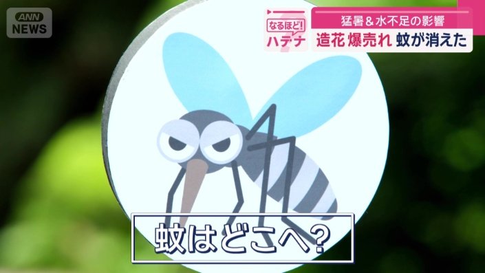 蚊は、一体どこへ?