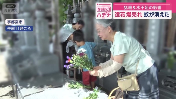 ご先祖様にお供えする生の切り花