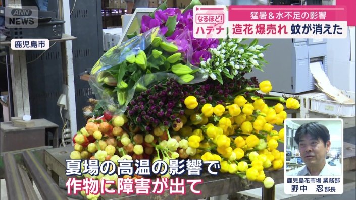 「高温の影響で作物に障害が」