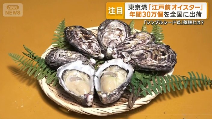 東京湾のカキ「江戸前オイスター」