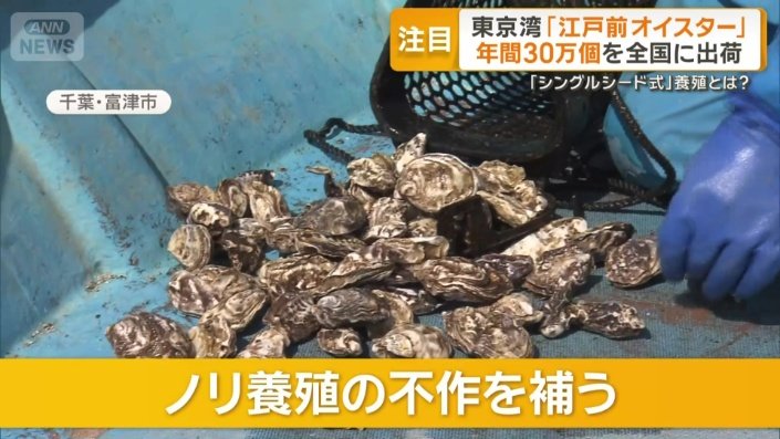 カキ養殖のきっかけは…