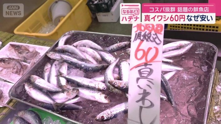 北海道産の真イワシ