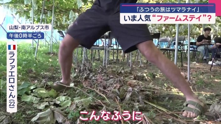 足を広げるスタイルで、ブドウ収穫