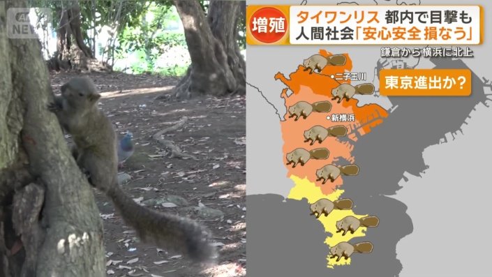 すでに世田谷区で目撃した人も