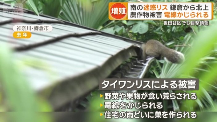 被害は深刻