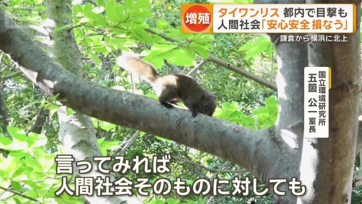 見た目は、かわいいが…