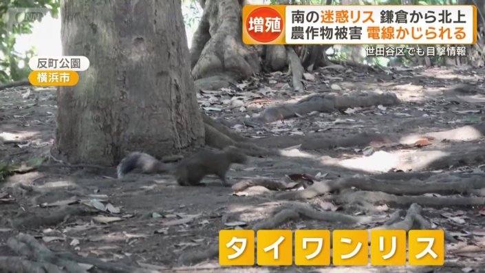 反町公園