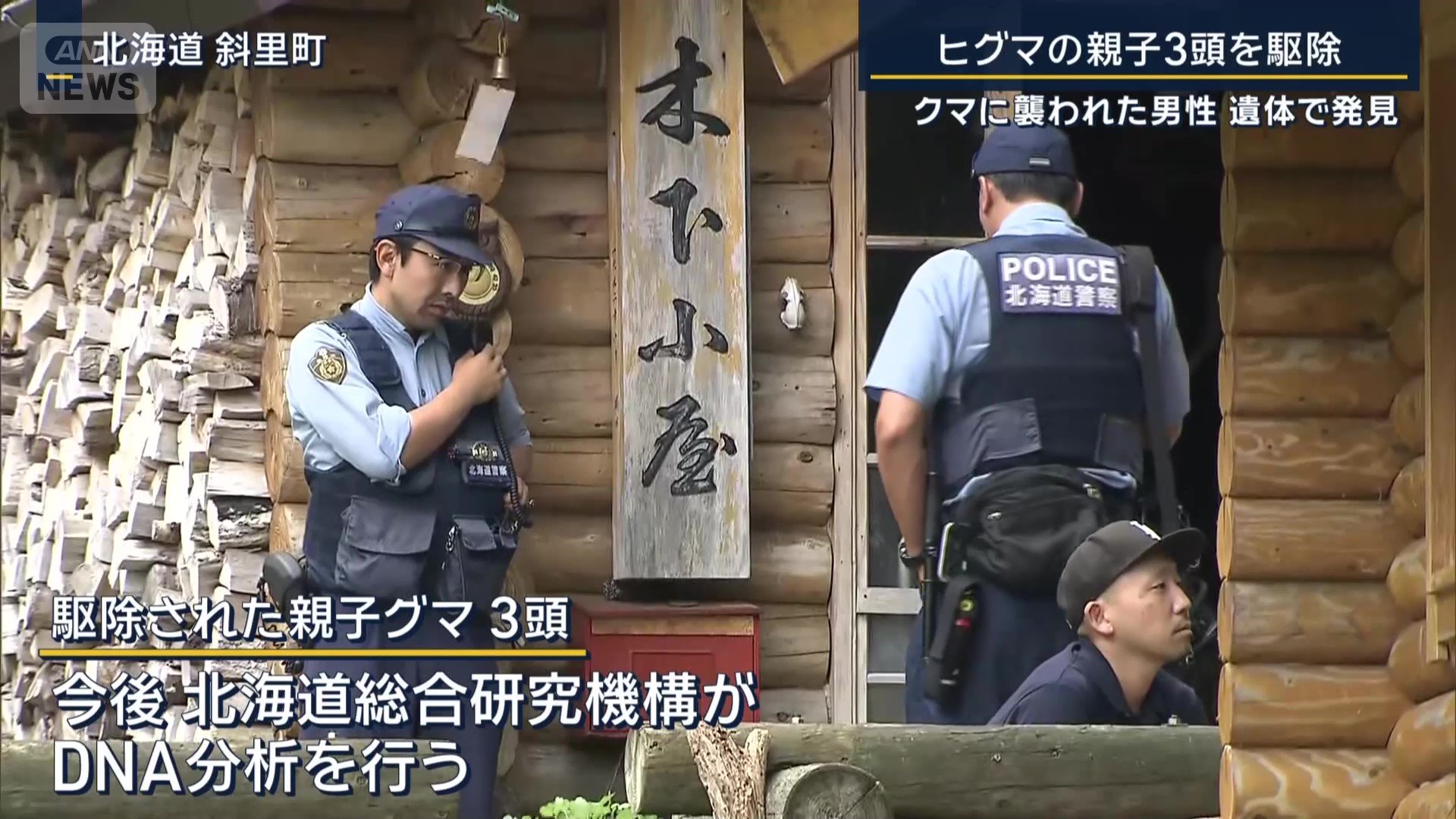 駆除された親子グマ3頭