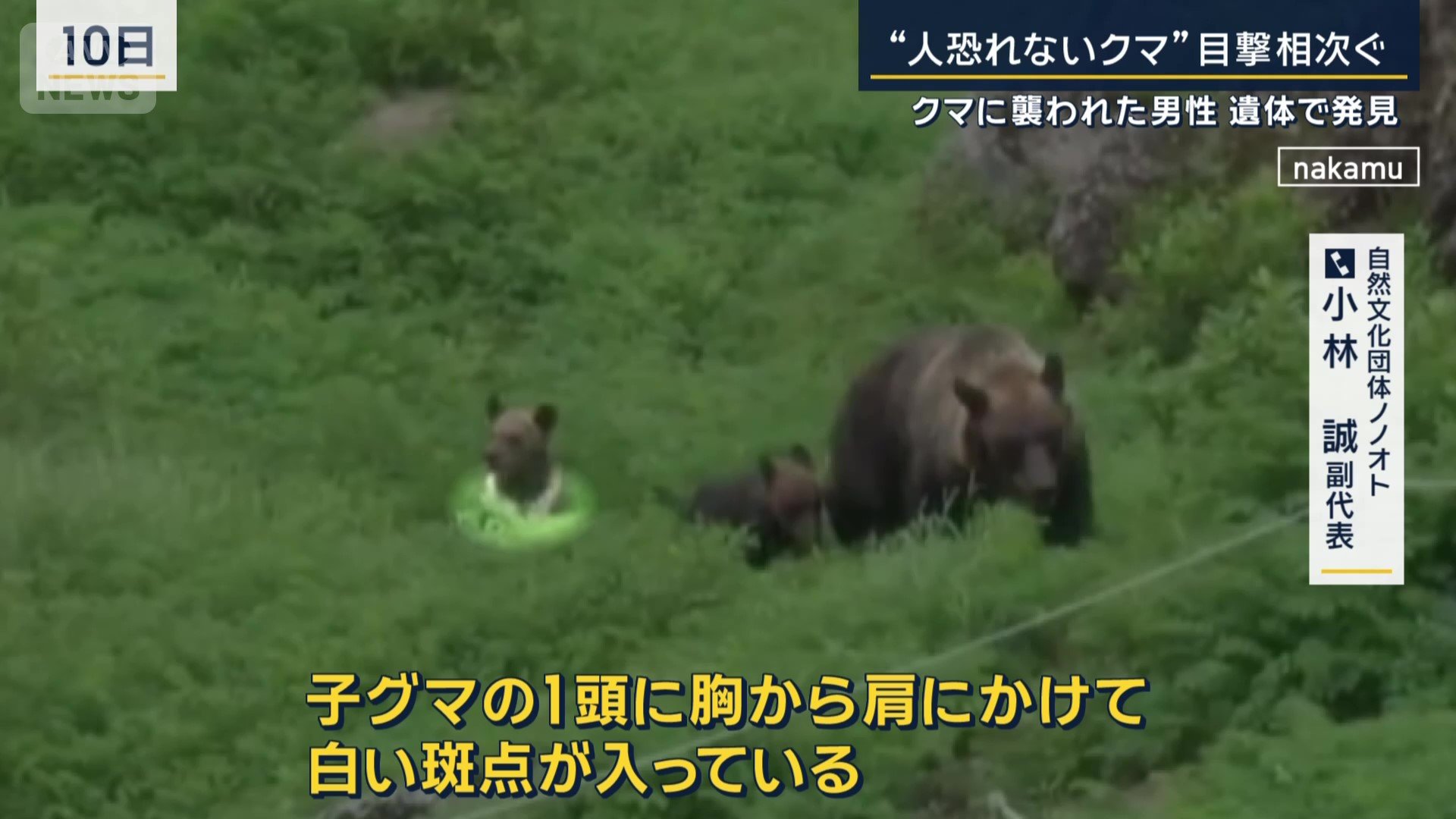 自然文化団体ノノオト　小林誠副代表　