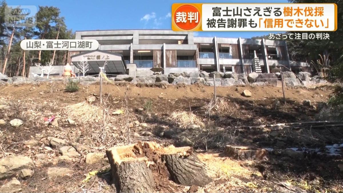 富士山遮る樹木伐採した中国人経営者にあさって判決　同胞から「恥かかせるな」