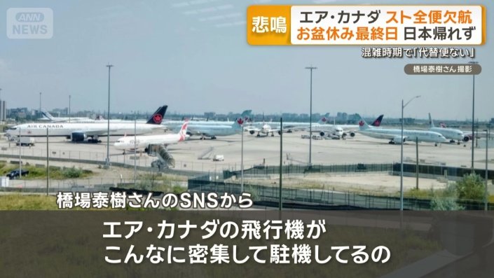 「こんなに密集して駐機してるの初めて見た」