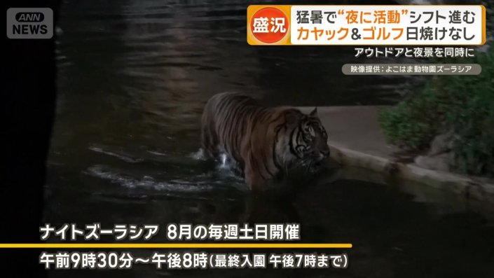 ナイトズーラシア